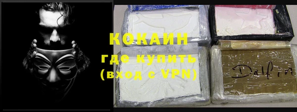 индика Балахна