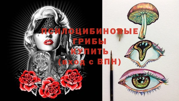 бошки Снежинск