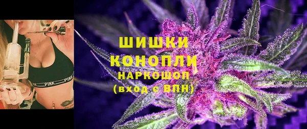 индика Балахна