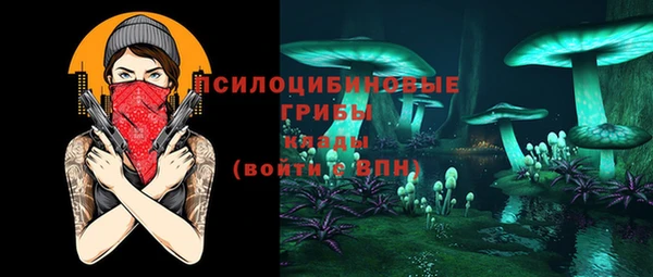 индика Балахна