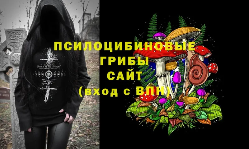 Псилоцибиновые грибы Cubensis  Володарск 