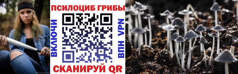 что такое   Володарск  Псилоцибиновые грибы мицелий 